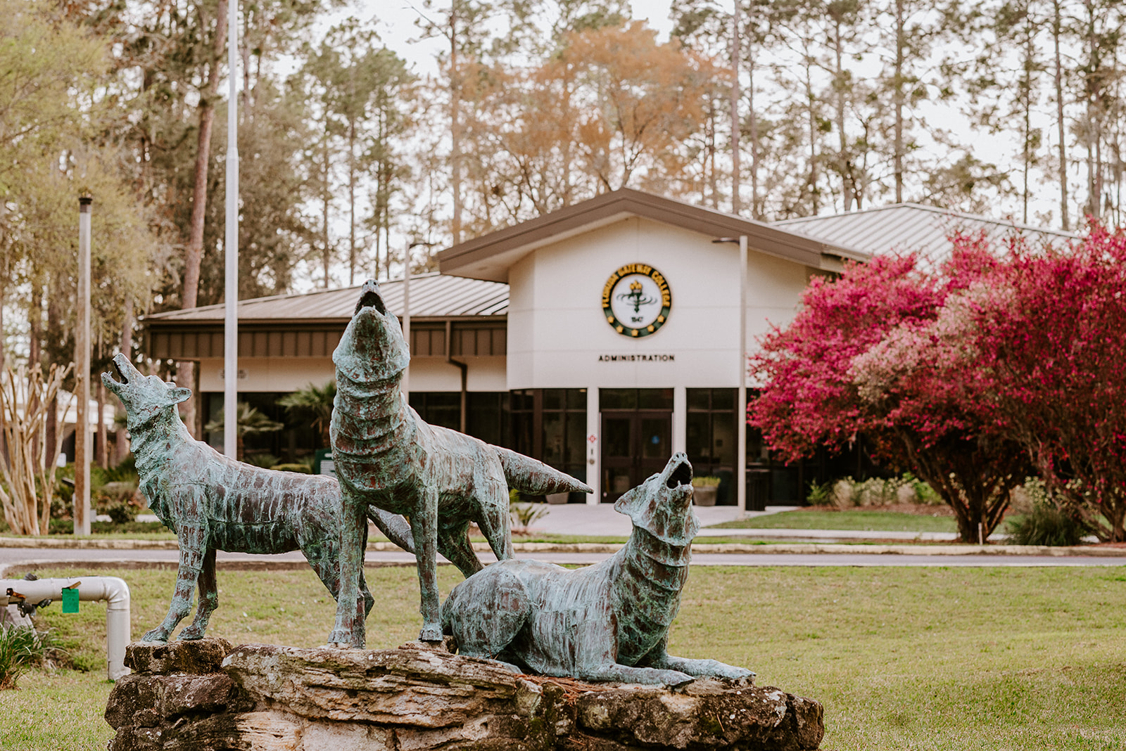 Wolf statue in front of FGC Administration Building