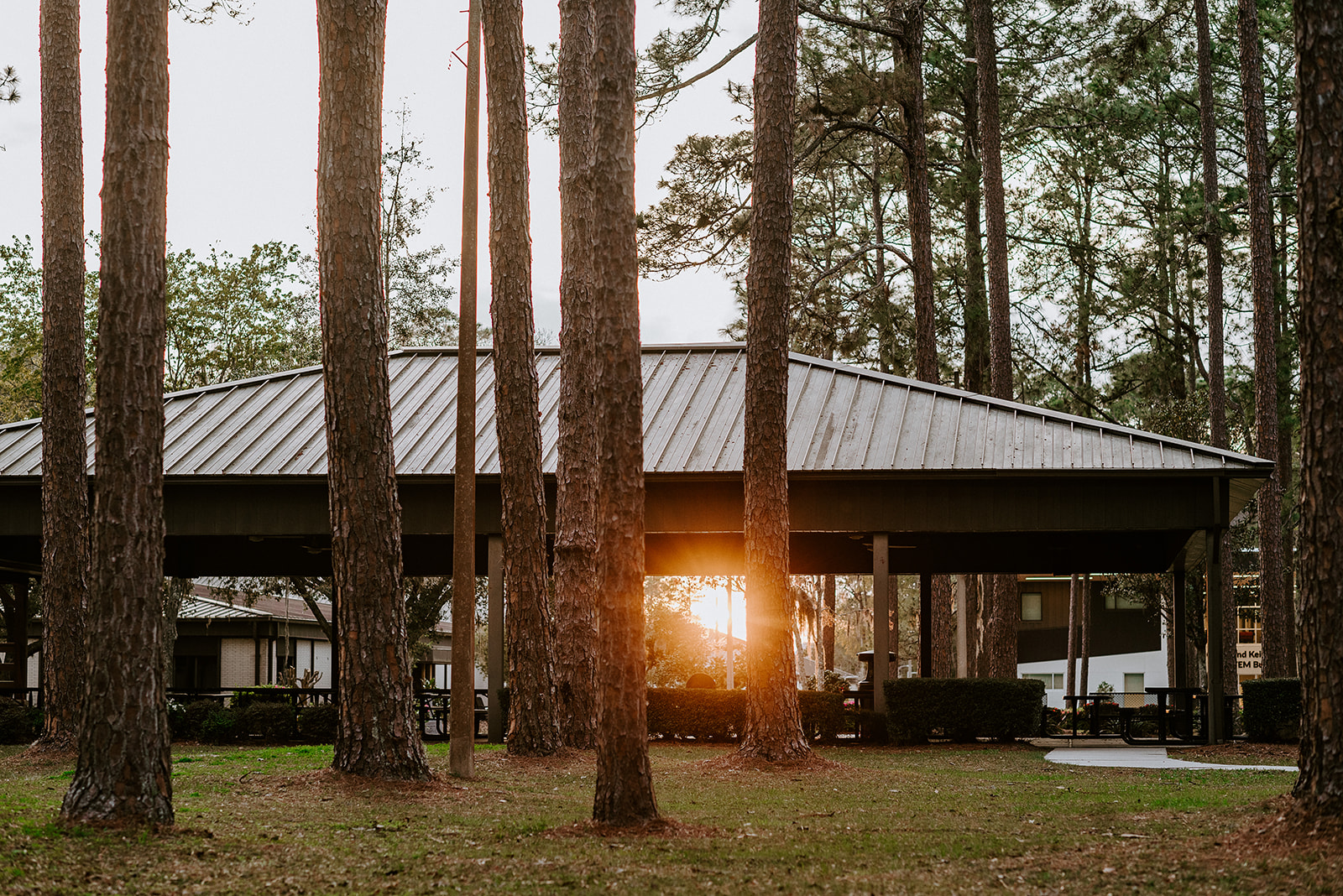 Pine Square at Sunset