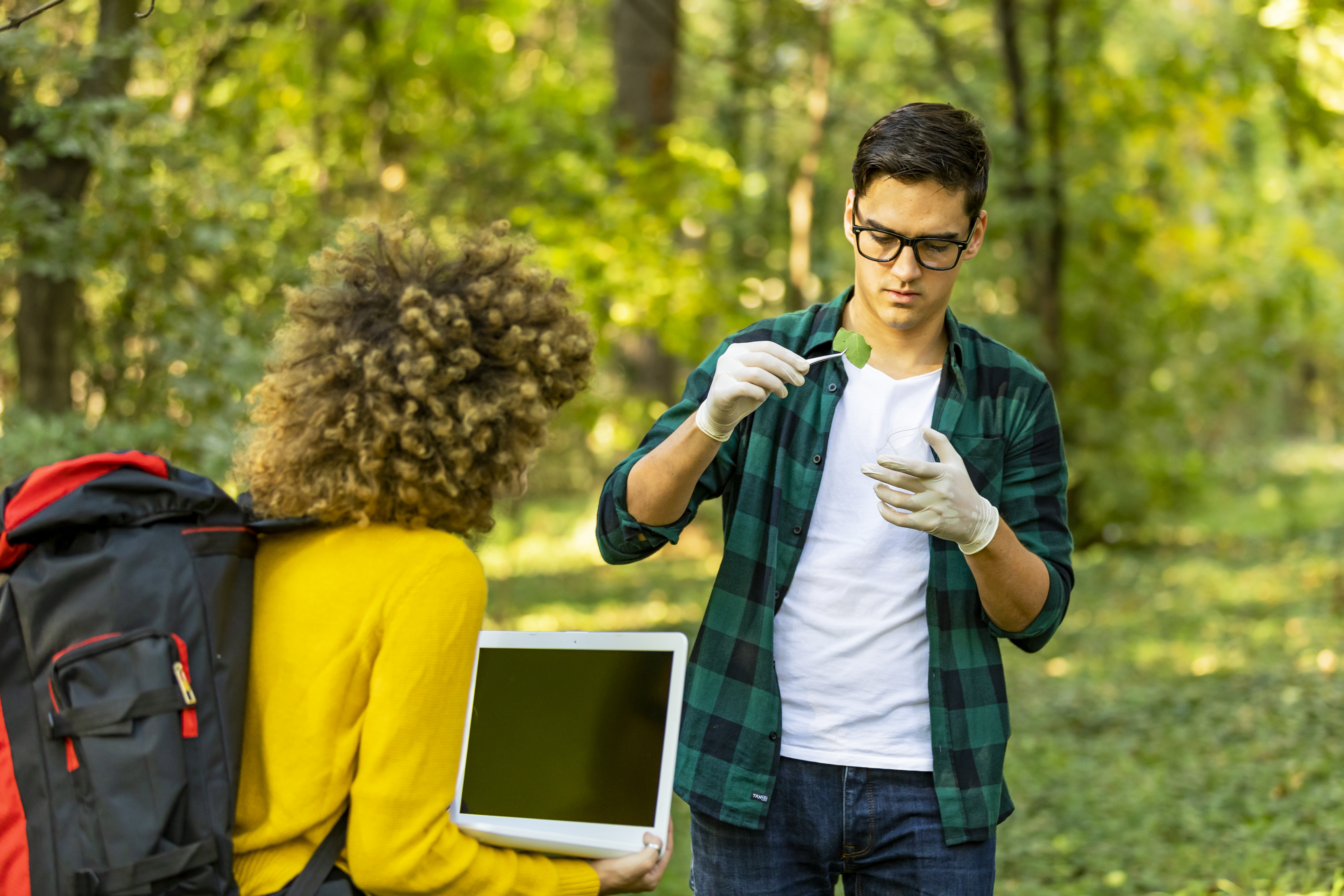 Students studying plants in the forest