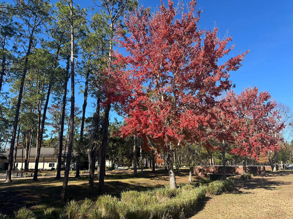 FGC's campus in colors