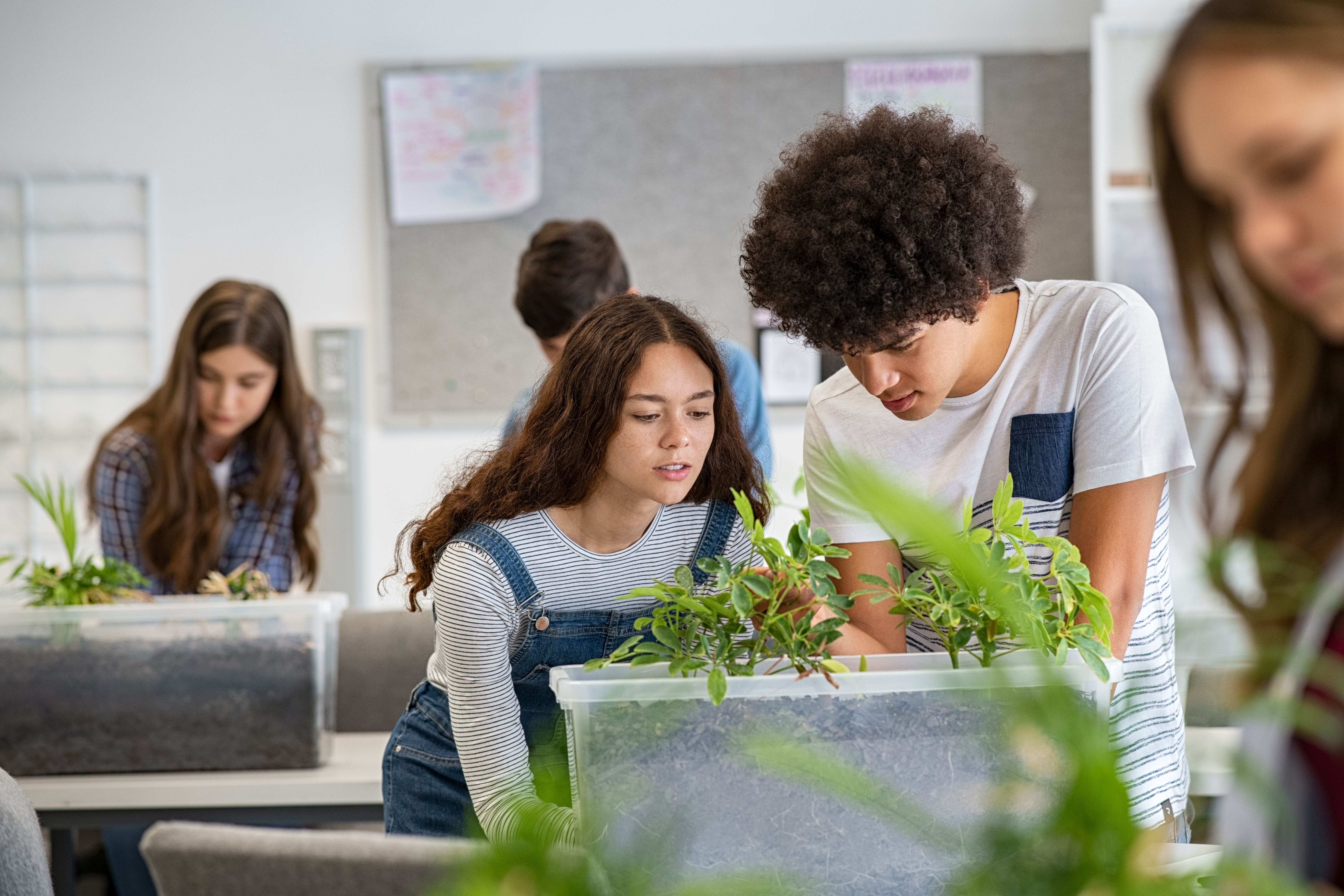 Students performing science lab