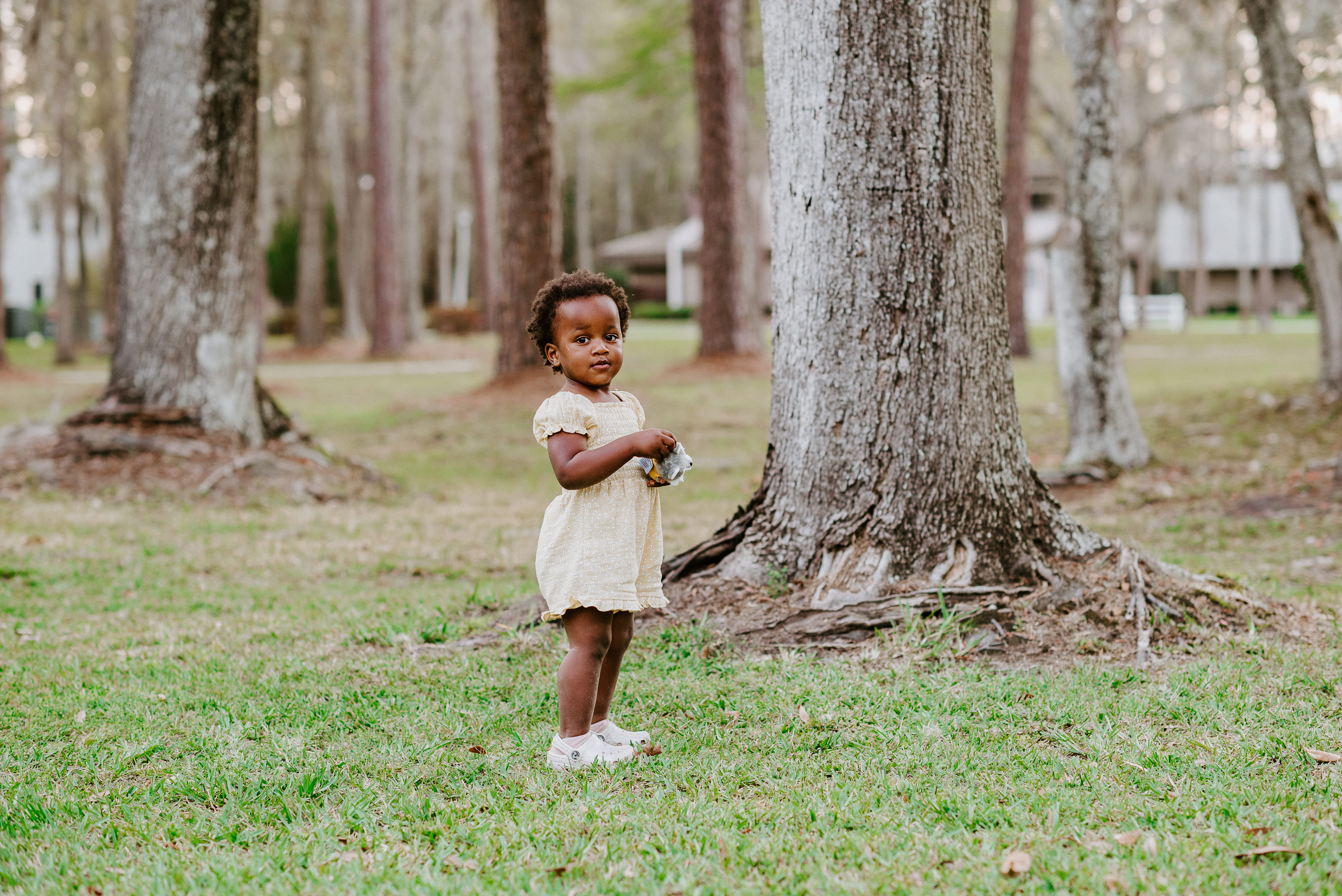 Florida Child Care Professional Credential Florida Child Care Professional Credential